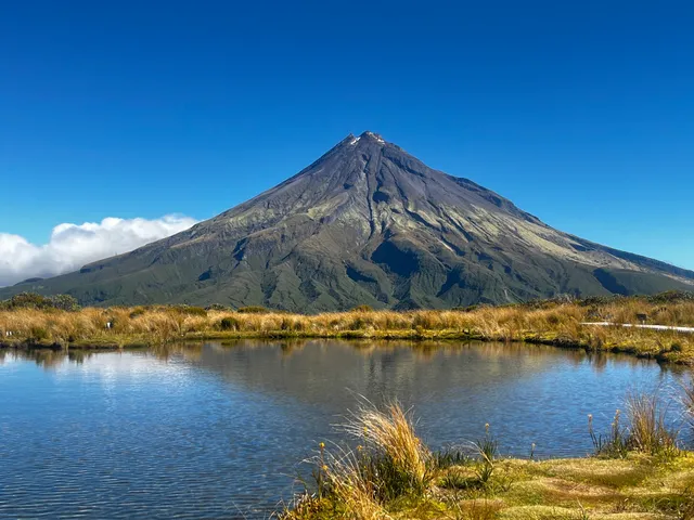 Mangorei Track Trailhead