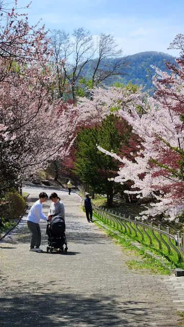 さっぽろ天神山アートスタジオ
