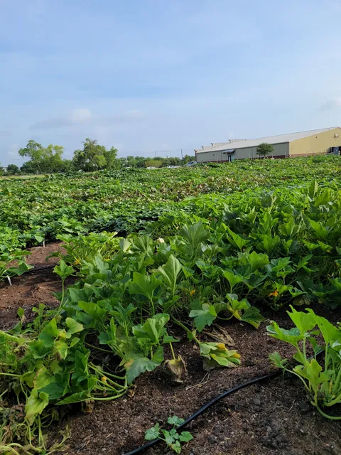 Second Mile Mission Center