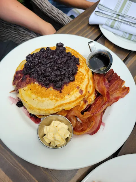 Tiny Boxwoods Austin