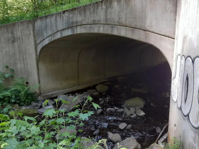 Fan Creek Campground