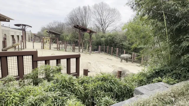 Smithsonian - Zoo Visitor Center Theater