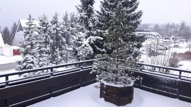 Ferienwohnung Winterberg Amadeo