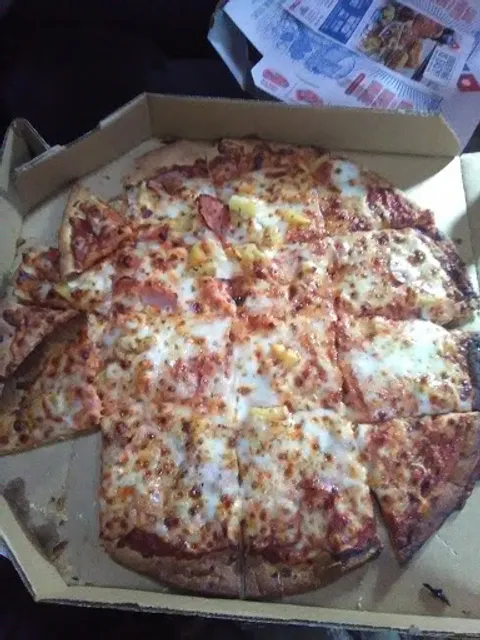 Domino's Pizza
