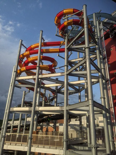 ビッグアロハ -BIG ALOHA-