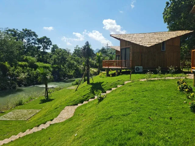 Little Bee Hòa Bình