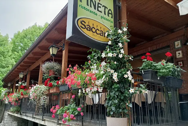 Ristorante Pizzeria Pineta Di Bianconi Giuliano