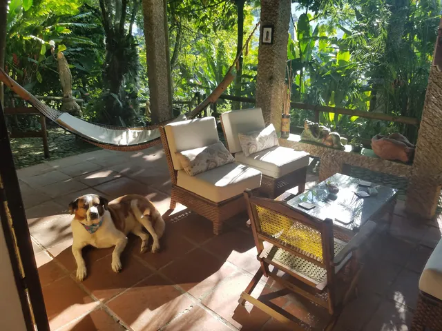 The Secret Buddha Hostel