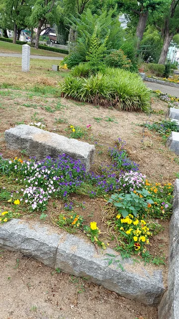 photo-1