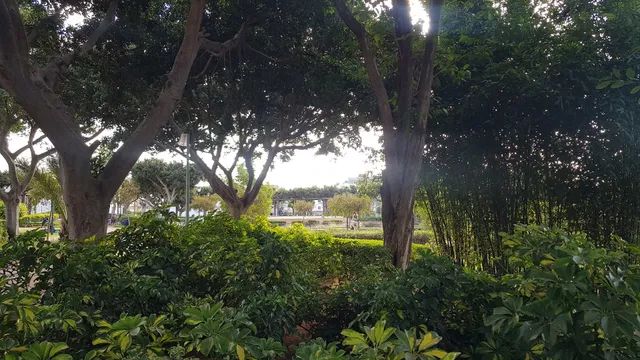 Parc Union africaine Ben Msik