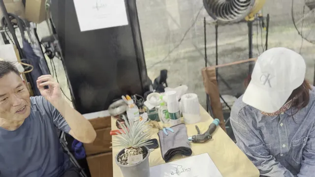 City Sprouts (West Coast)