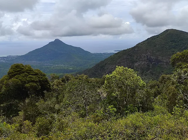 Macchabée Viewpoint