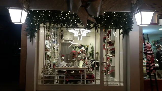 Floristería Flory Fauna