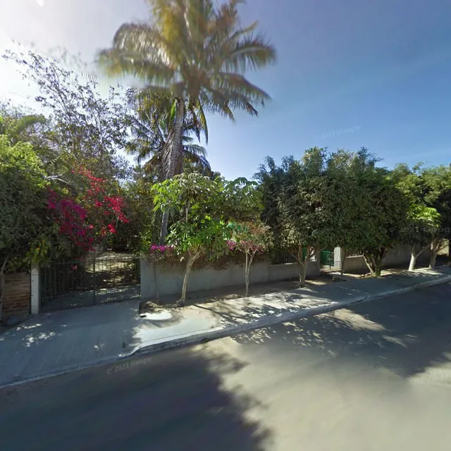 Cochinita Pork favor