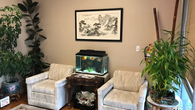 Li's Spa Massage Redmond