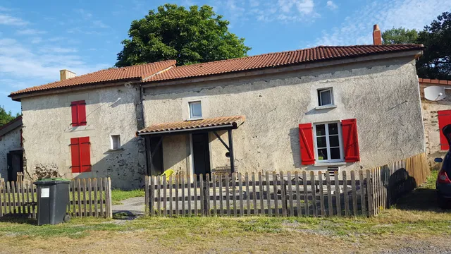 Le marronnier entre Les Buis