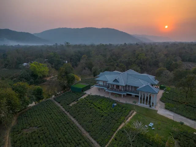 Vaani Greens Kaziranga Wildlife Resort