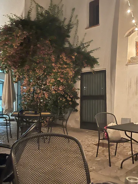 photo-1