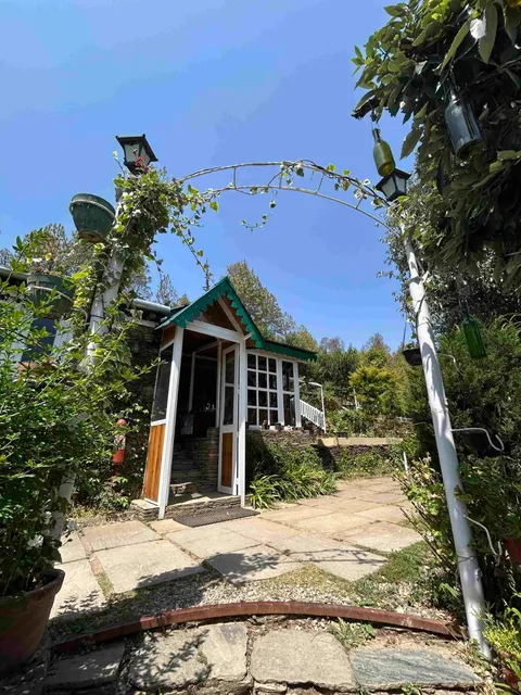 Frozen Woods Resorts