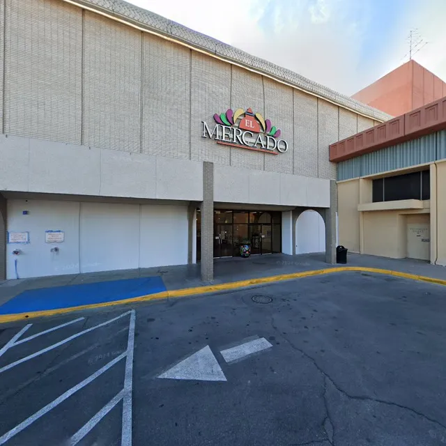 The Art Photographers