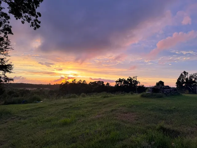 Sundown Farms East Texas