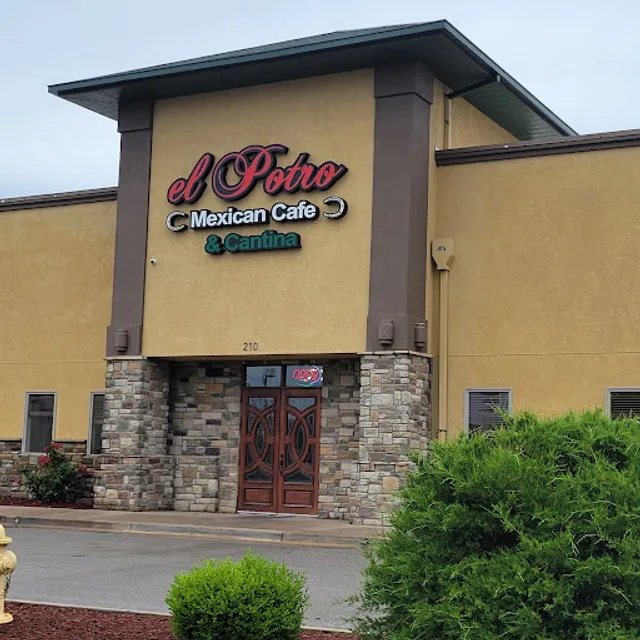 El potro mexican cafe