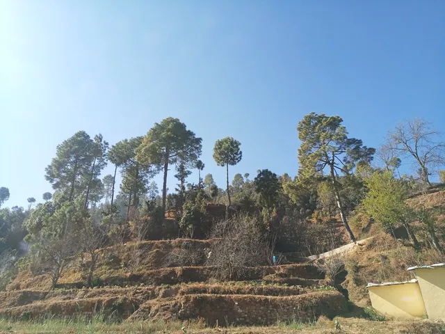 Evergreen Valley Camp