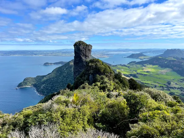Bream Head (Te Whara) Track Scenic Lookout