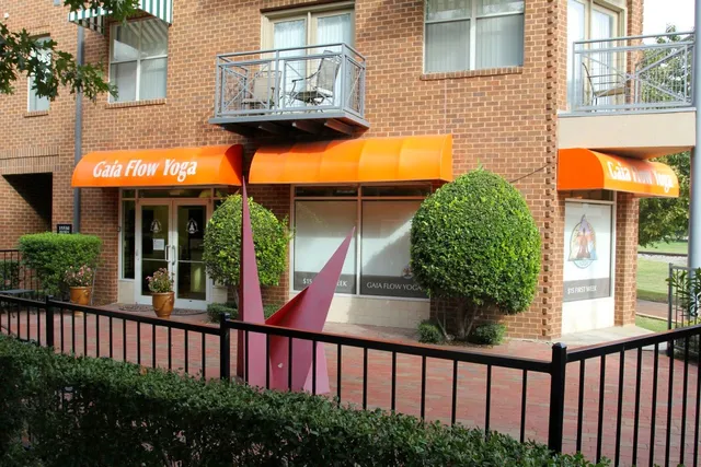 Gaia Flow Yoga Addison