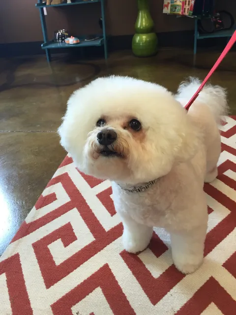 The BoardRoom @ Cumberland