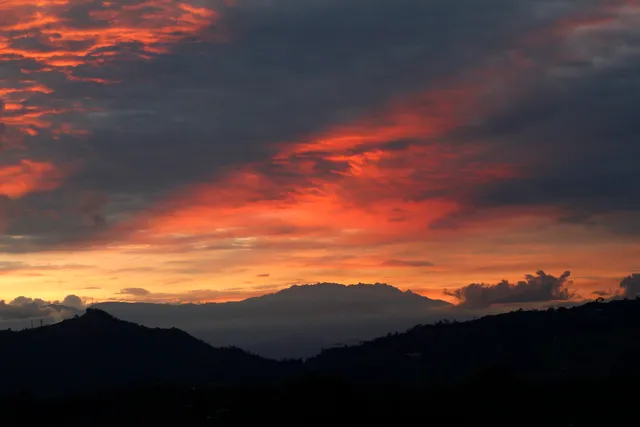 Combia Mountain Coffee