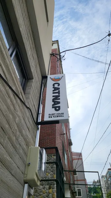 Catnap guesthouse