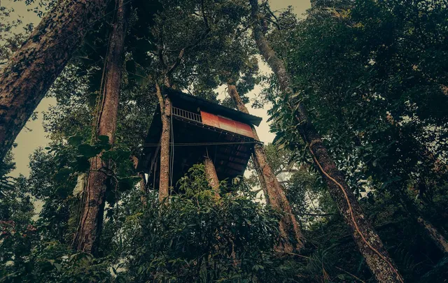 Ela Ecoland Munnar - A Nature Retreat