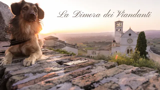 LA DIMORA DEI VIANDANTI
