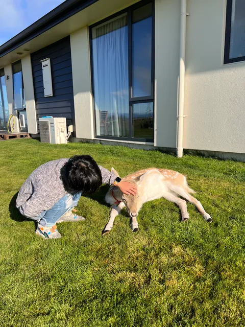 Hilltop Whakaipo Estate