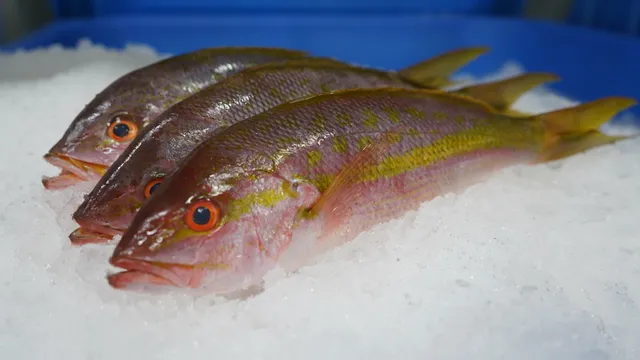 Fish's Wholesale