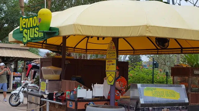 Chillin' Charlie's Lemon Slush