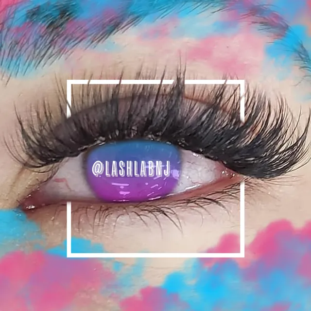 Lash Lab Express