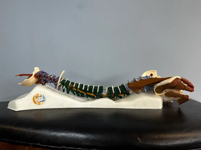 Active Rest Chiropractic