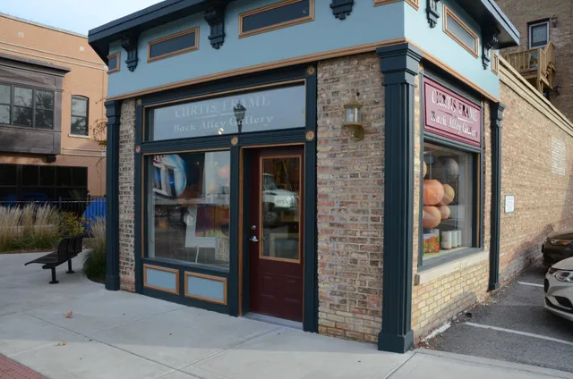 Curtis Frame Back Alley Gallery