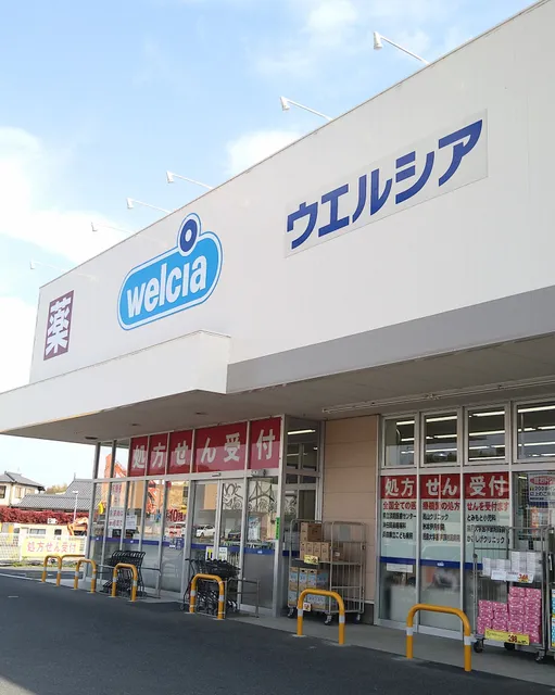 Welcia Tsuna Ichinomiya Inter