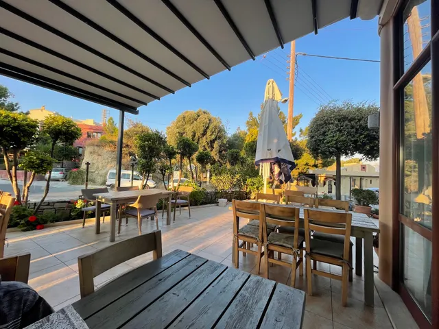 Elia and Diosmos - Olive Mint