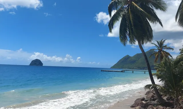 Le diamant martinique