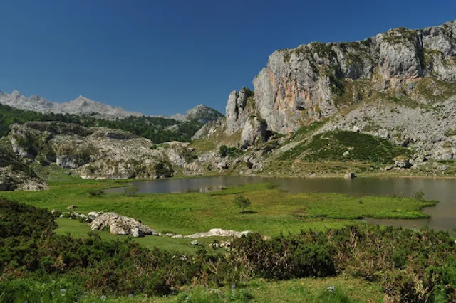 Picos de Europa
