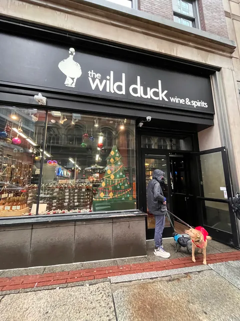 The Wild Duck