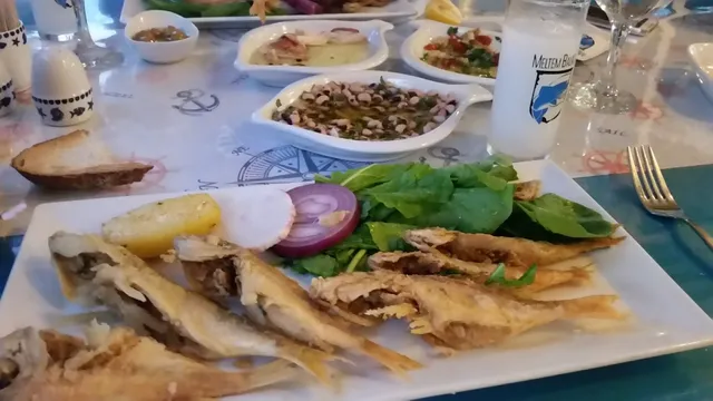 Meltem Balıkçısı