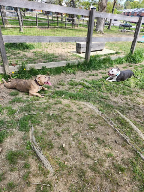 Burdick Bark Dog Park