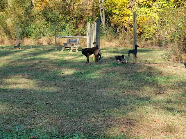 Bridgeport Bark Park