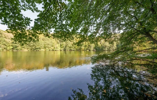 Upper Francis Pond Preserve