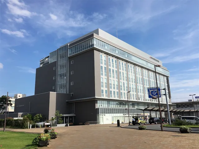 Nihon University International Relations Faculty